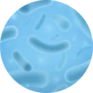 Lactobacillus Ferment Lysate