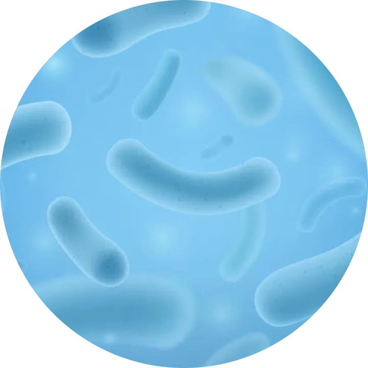 LACTOBACILLUS FERMENT LYSATE