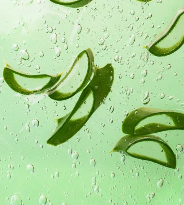 aloe vera