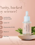 Vitamin C Face Serum | Rub It In Serum